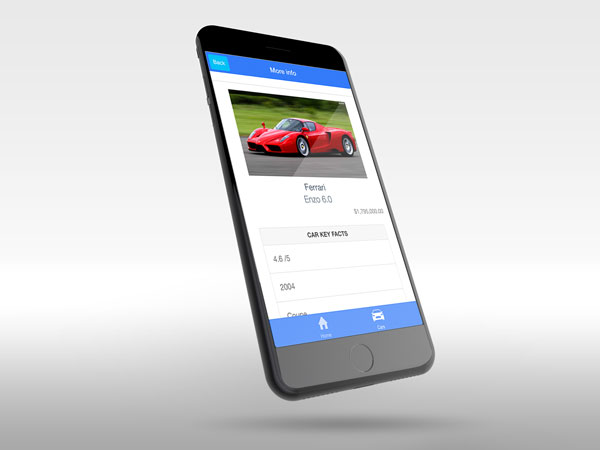 The car app search function on phone
